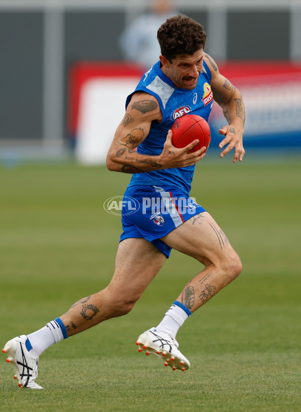 AFL 2026 Training - Western Bulldogs 160126 - A-65254529