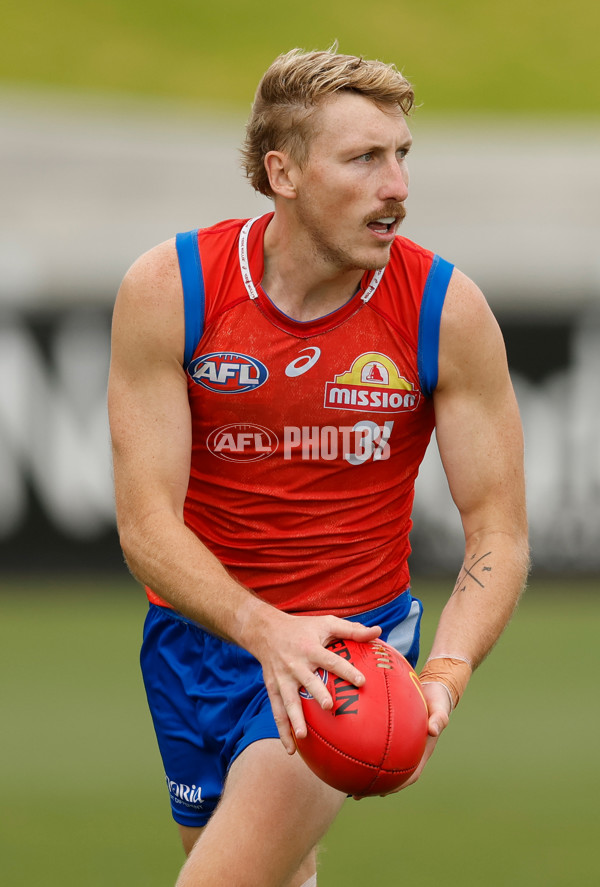 AFL 2026 Training - Western Bulldogs 160126 - A-65254531