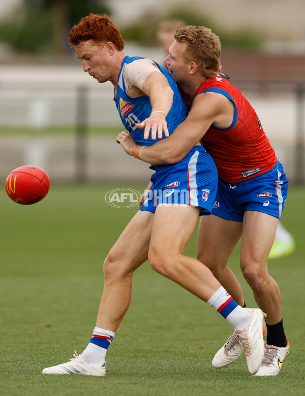 AFL 2026 Training - Western Bulldogs 160126 - A-65254532