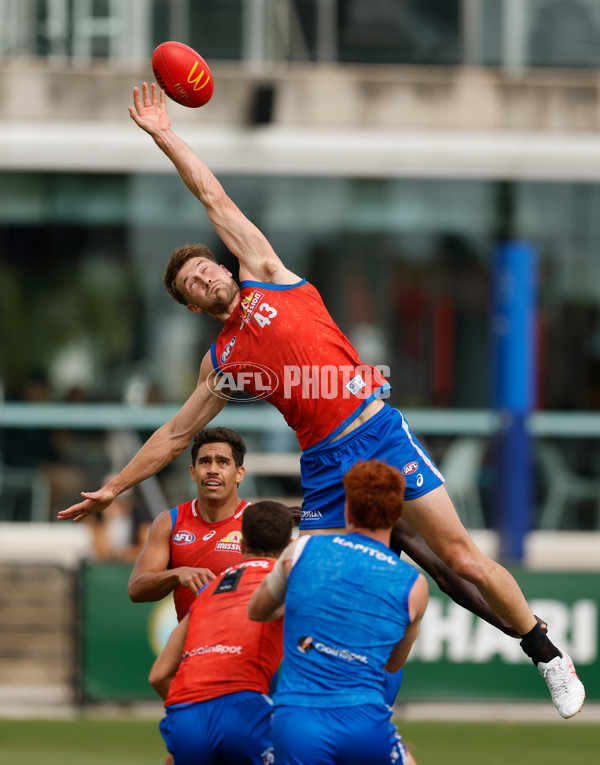 AFL 2026 Training - Western Bulldogs 160126 - A-65254534