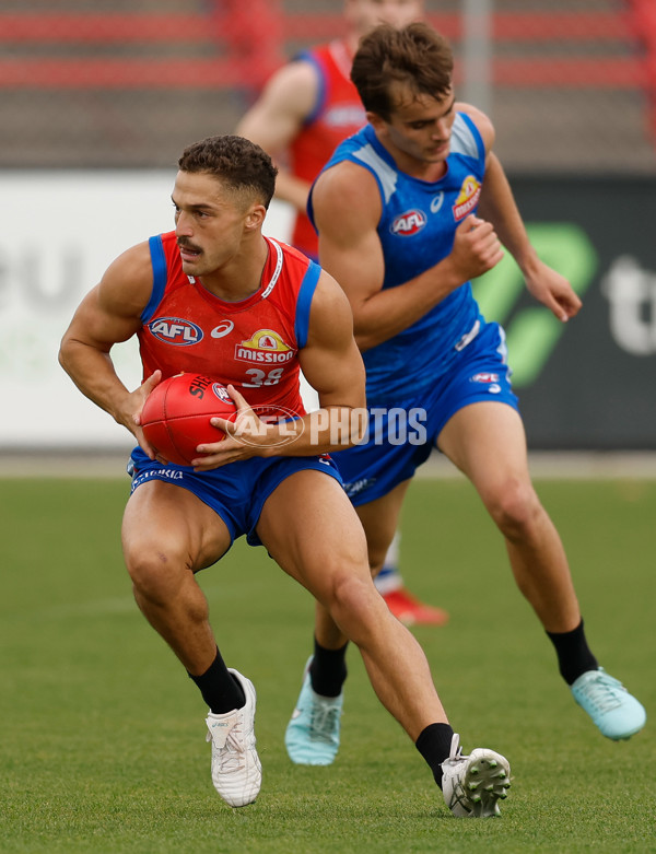 AFL 2026 Training - Western Bulldogs 160126 - A-65254535