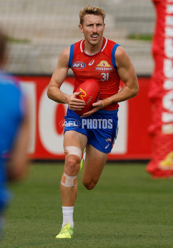 AFL 2026 Training - Western Bulldogs 160126 - A-65254536