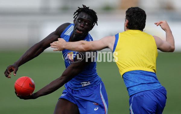 AFL 2026 Training - Western Bulldogs 160126 - A-65254570