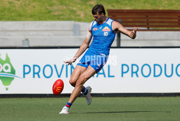 AFL 2026 Training - Western Bulldogs 160126 - A-65254571