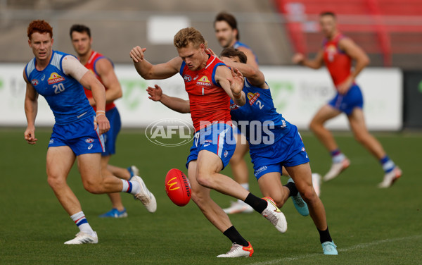 AFL 2026 Training - Western Bulldogs 160126 - A-65254577