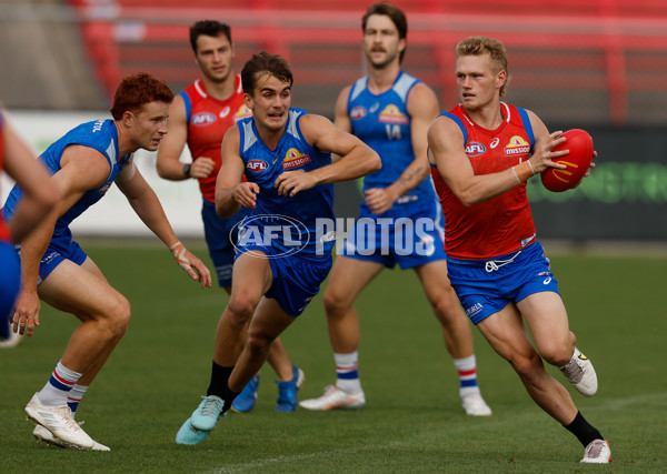AFL 2026 Training - Western Bulldogs 160126 - A-65254580