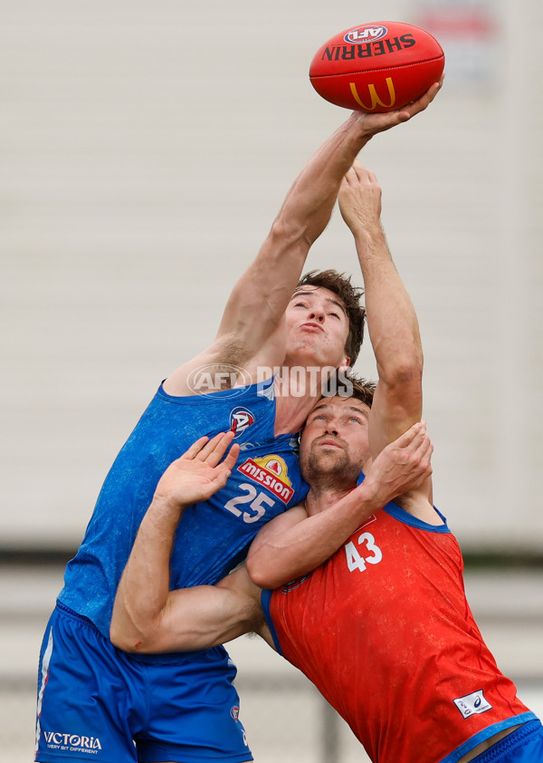 AFL 2026 Training - Western Bulldogs 160126 - A-65254582