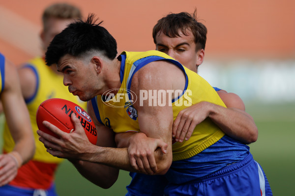 AFL 2026 Training - Western Bulldogs 160126 - A-65256009