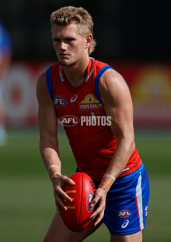 AFL 2026 Training - Western Bulldogs 160126 - A-65256011