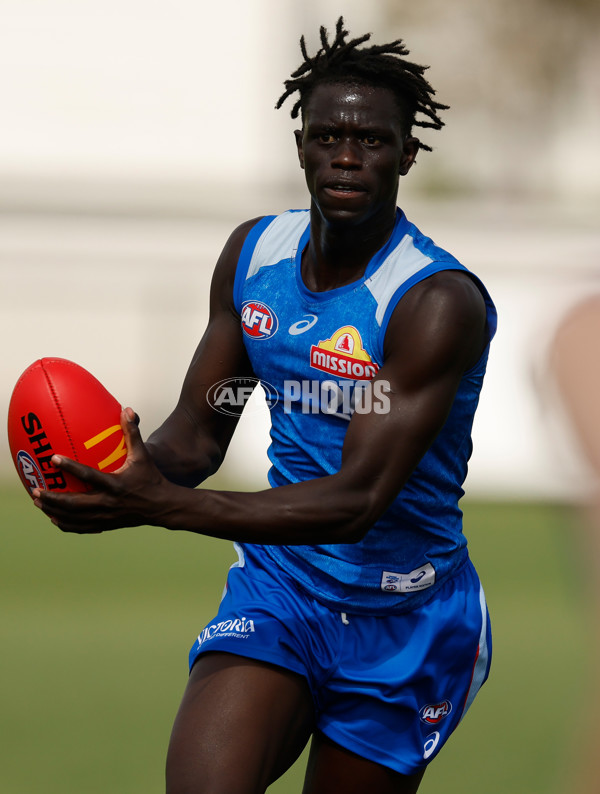 AFL 2026 Training - Western Bulldogs 160126 - A-65256014