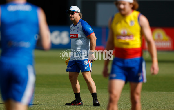 AFL 2026 Training - Western Bulldogs 160126 - A-65256015