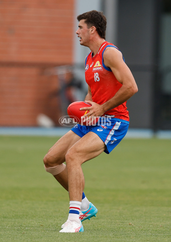 AFL 2026 Training - Western Bulldogs 160126 - A-65256021