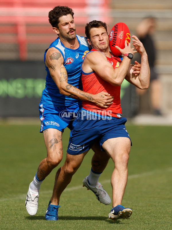 AFL 2026 Training - Western Bulldogs 160126 - A-65256049