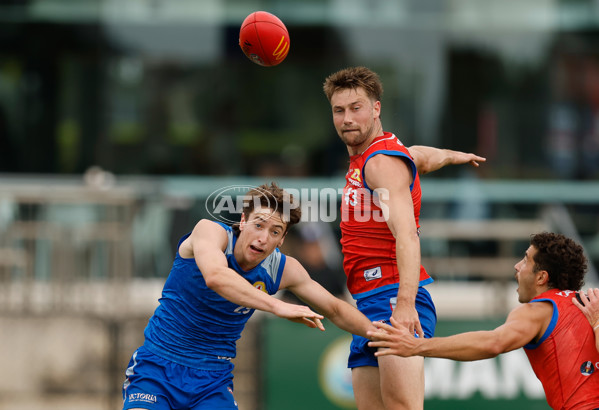AFL 2026 Training - Western Bulldogs 160126 - A-65256056