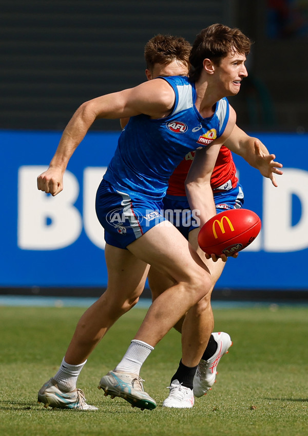AFL 2026 Training - Western Bulldogs 160126 - A-65256057