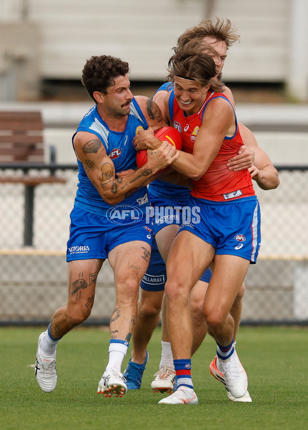 AFL 2026 Training - Western Bulldogs 160126 - A-65256059