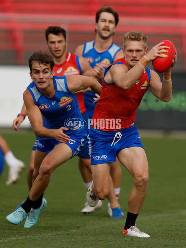 AFL 2026 Training - Western Bulldogs 160126 - A-65256060