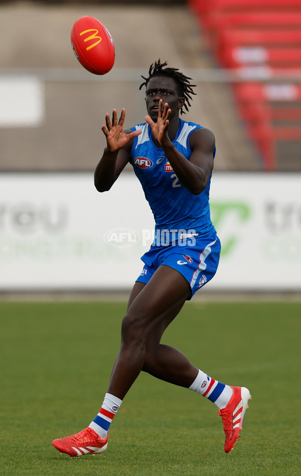 AFL 2026 Training - Western Bulldogs 160126 - A-65256061