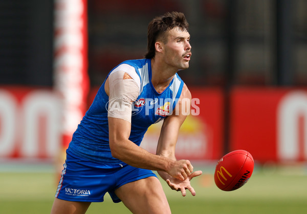 AFL 2026 Training - Western Bulldogs 160126 - A-65256062