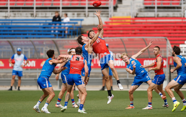 AFL 2026 Training - Western Bulldogs 160126 - A-65256085
