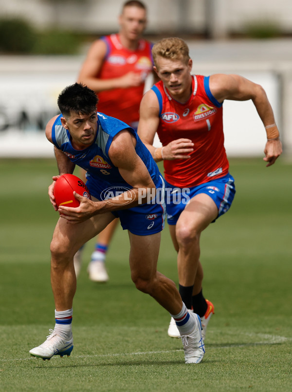 AFL 2026 Training - Western Bulldogs 160126 - A-65256093