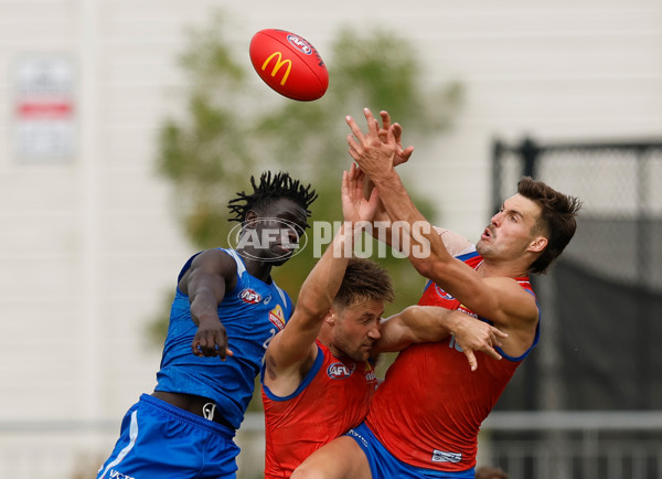 AFL 2026 Training - Western Bulldogs 160126 - A-65256095
