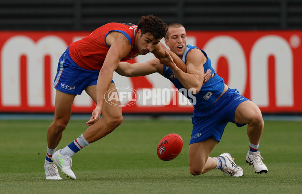 AFL 2026 Training - Western Bulldogs 160126 - A-65256837