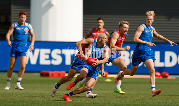 AFL 2026 Training - Western Bulldogs 160126 - A-65256838