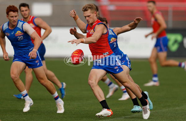 AFL 2026 Training - Western Bulldogs 160126 - A-65256840
