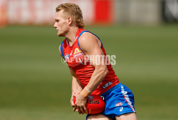AFL 2026 Training - Western Bulldogs 160126 - A-65256880