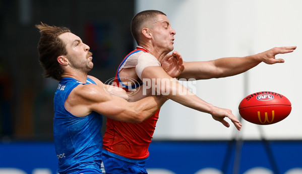 AFL 2026 Training - Western Bulldogs 160126 - A-65256882