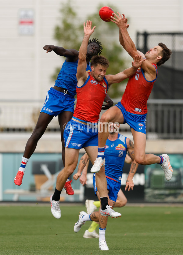 AFL 2026 Training - Western Bulldogs 160126 - A-65256886