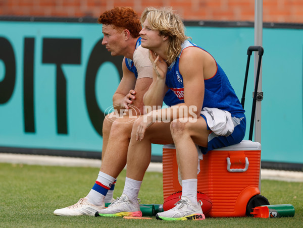 AFL 2026 Training - Western Bulldogs 160126 - A-65256890