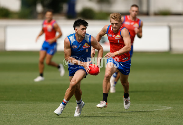 AFL 2026 Training - Western Bulldogs 160126 - A-65258760