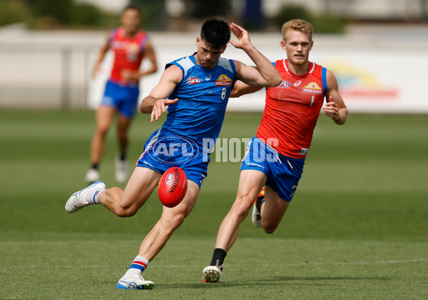 AFL 2026 Training - Western Bulldogs 160126 - A-65258761