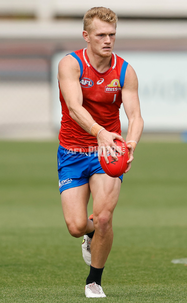 AFL 2026 Training - Western Bulldogs 160126 - A-65258763