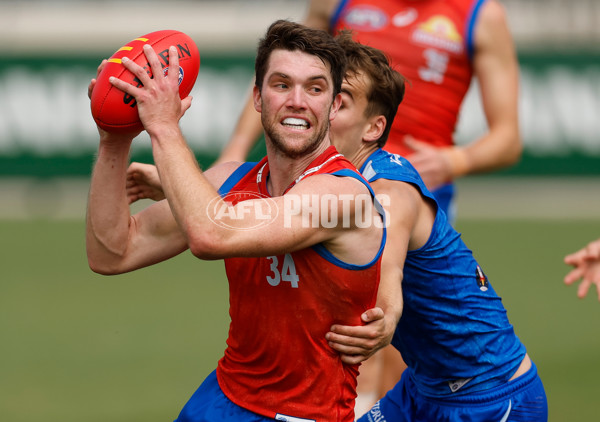 AFL 2026 Training - Western Bulldogs 160126 - A-65258765