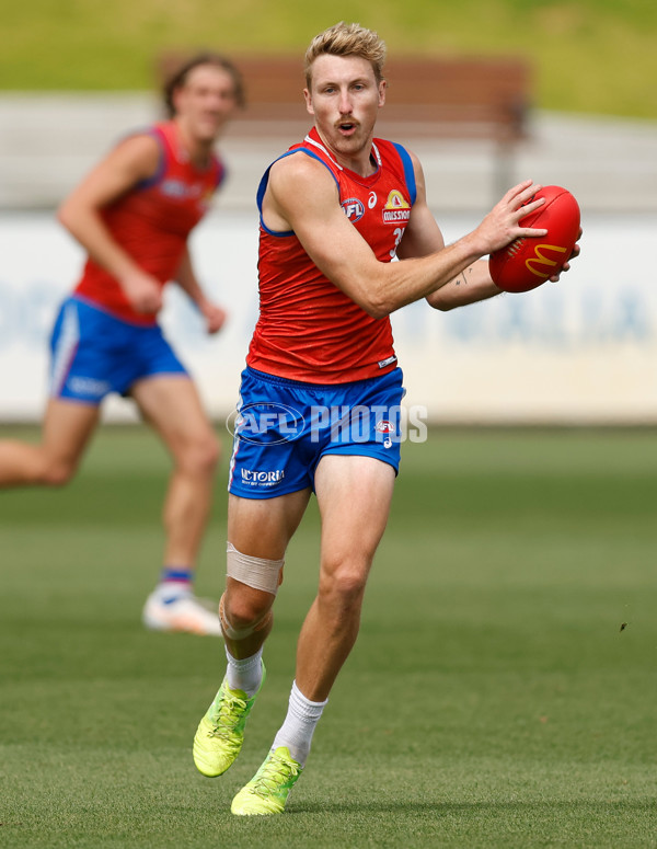 AFL 2026 Training - Western Bulldogs 160126 - A-65258788