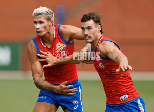 AFL 2026 Training - Western Bulldogs 160126 - A-65258797