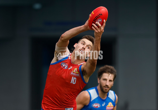 AFL 2026 Training - Western Bulldogs 160126 - A-65258798