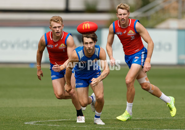 AFL 2026 Training - Western Bulldogs 160126 - A-65258799