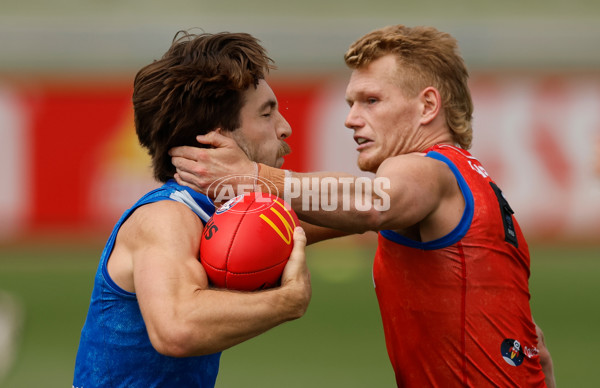 AFL 2026 Training - Western Bulldogs 160126 - A-65258800
