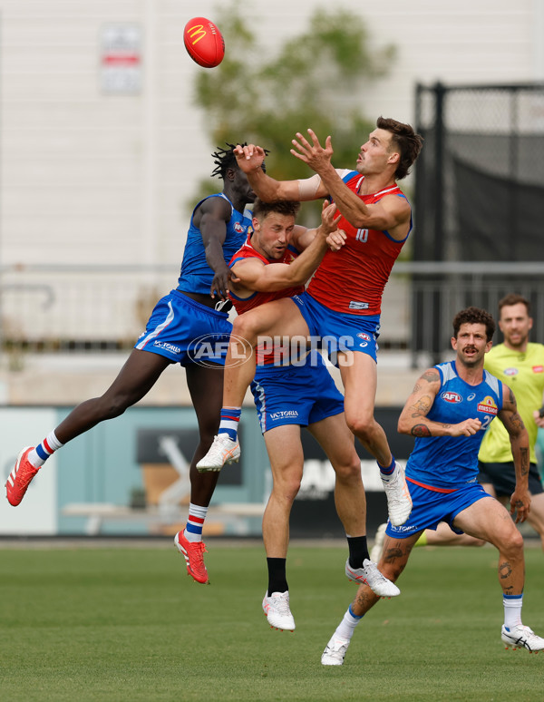 AFL 2026 Training - Western Bulldogs 160126 - A-65259040