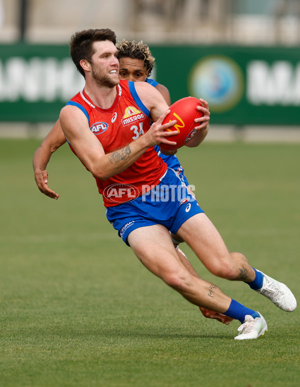 AFL 2026 Training - Western Bulldogs 160126 - A-65259041