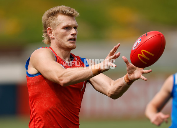 AFL 2026 Training - Western Bulldogs 160126 - A-65259043