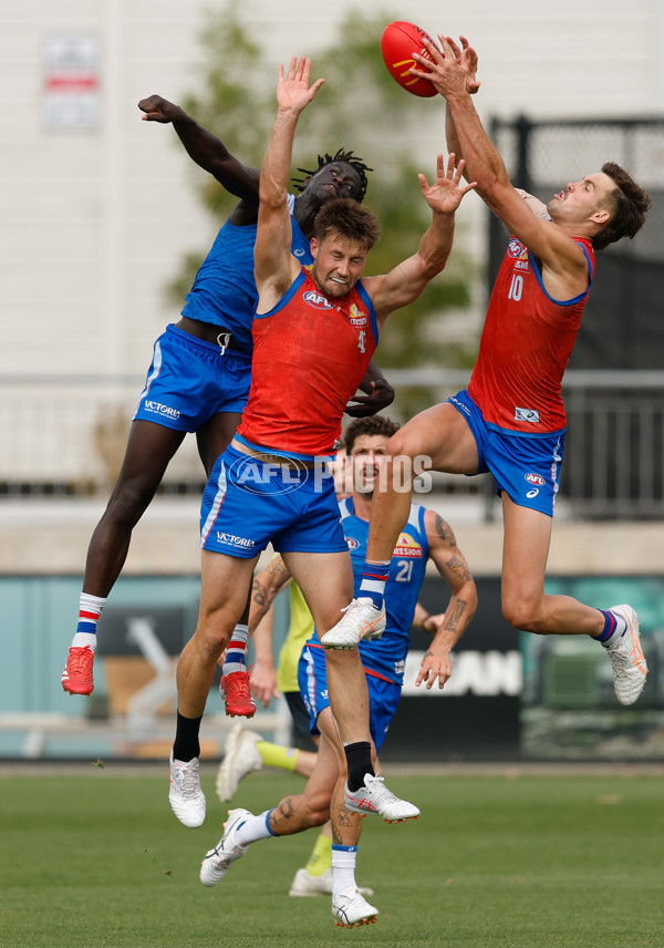 AFL 2026 Training - Western Bulldogs 160126 - A-65259044