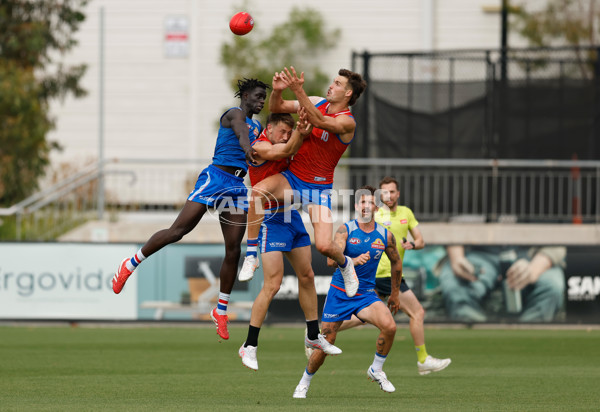 AFL 2026 Training - Western Bulldogs 160126 - A-65259045