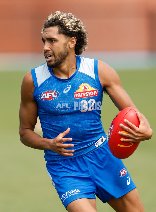 AFL 2026 Training - Western Bulldogs 160126 - A-65259046