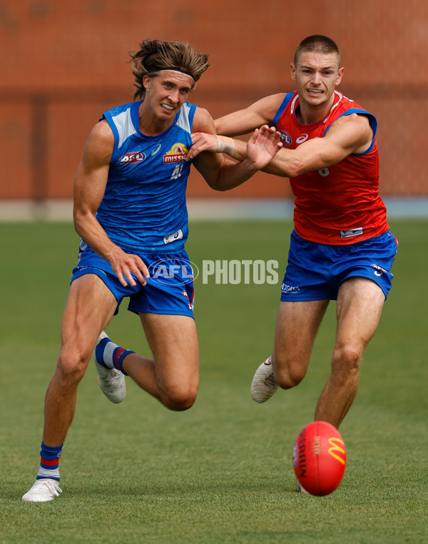 AFL 2026 Training - Western Bulldogs 160126 - A-65259047