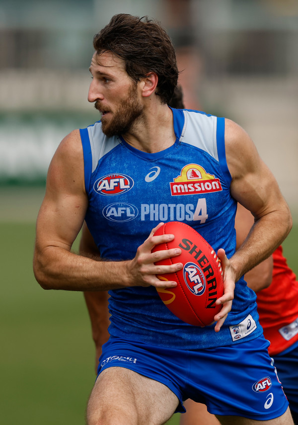 AFL 2026 Training - Western Bulldogs 160126 - A-65259048